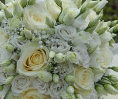 Svatba v Panenském v klášteře Panenský Týnec