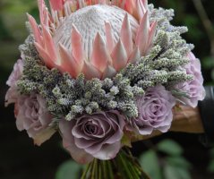 Luxusní a neotřelá