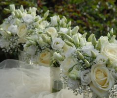 Svatba v Panenském v klášteře Panenský Týnec