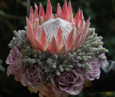 Luxusní a neotřelá