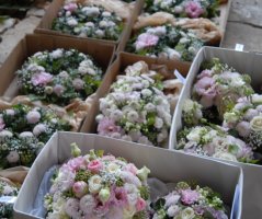 Svatba v Liblicích na zámku