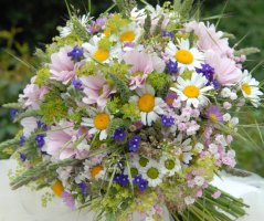 Luční kytice a svatba na Šumavě