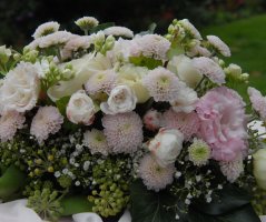 Svatba v Liblicích na zámku