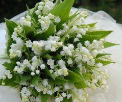 Konvalinková svatba na zámku Trnová