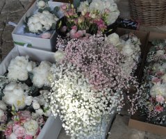 Dědkův mlýn a pivoňky