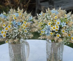 Svatba na velkém statku