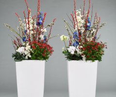 Firemní akce a výstavy