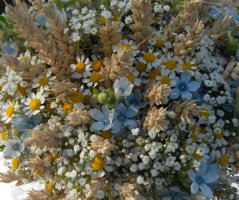 Svatba na velkém statku