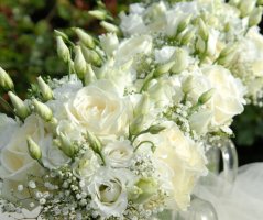 Svatba v Panenském v klášteře Panenský Týnec