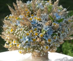 Svatba na velkém statku