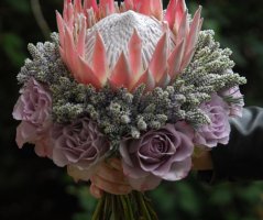 Luxusní a neotřelá