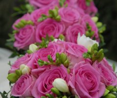 Svatba v pátek třináctého