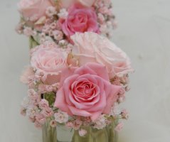 Dědkův mlýn a pivoňky