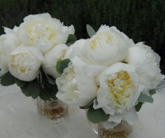 Dědkův mlýn a pivoňky