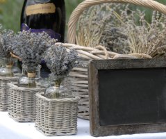 Pro milovníky Francie