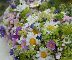 Luční kytice a svatba na Šumavě