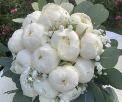 Dědkův mlýn a pivoňky